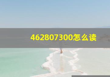 462807300怎么读