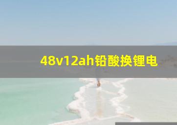 48v12ah铅酸换锂电