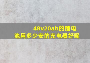 48v20ah的锂电池用多少安的充电器好呢