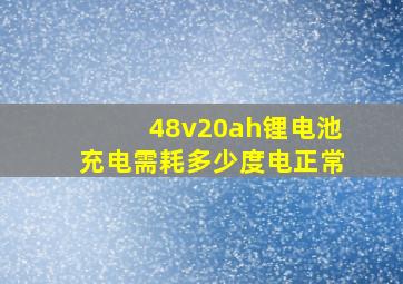 48v20ah锂电池充电需耗多少度电正常