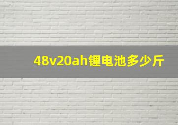 48v20ah锂电池多少斤