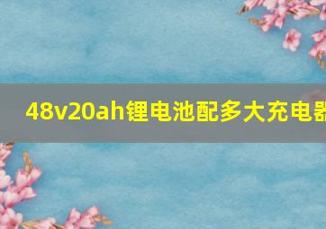 48v20ah锂电池配多大充电器