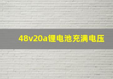 48v20a锂电池充满电压