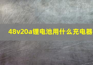 48v20a锂电池用什么充电器