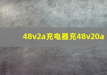 48v2a充电器充48v20a