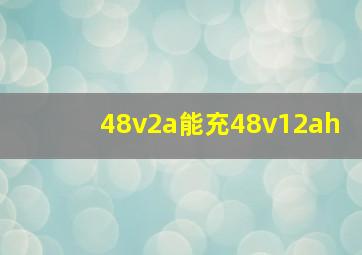 48v2a能充48v12ah