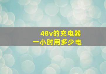 48v的充电器一小时用多少电