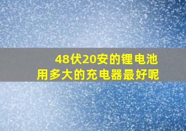 48伏20安的锂电池用多大的充电器最好呢