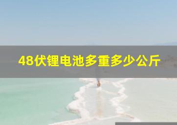 48伏锂电池多重多少公斤