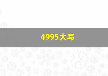 4995大写