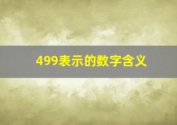 499表示的数字含义