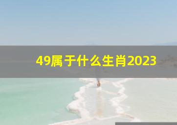 49属于什么生肖2023