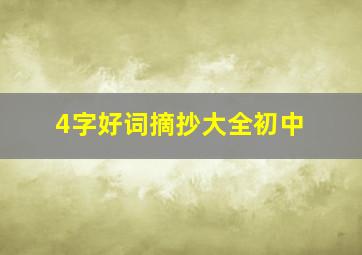 4字好词摘抄大全初中