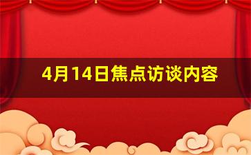 4月14日焦点访谈内容