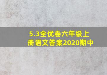 5.3全优卷六年级上册语文答案2020期中