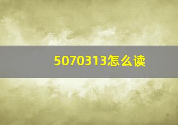 5070313怎么读