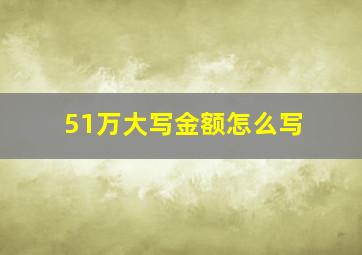 51万大写金额怎么写