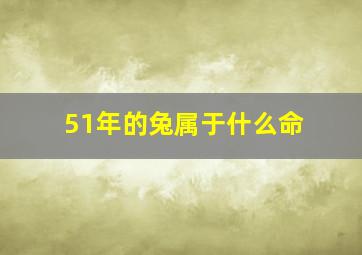 51年的兔属于什么命