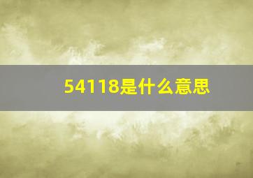 54118是什么意思