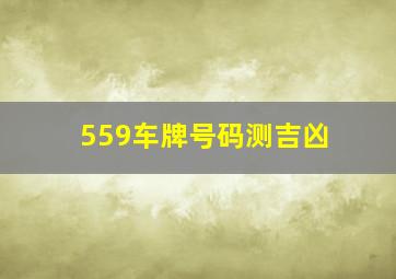 559车牌号码测吉凶