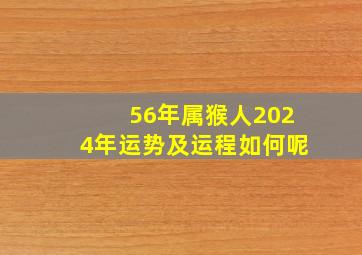 56年属猴人2024年运势及运程如何呢