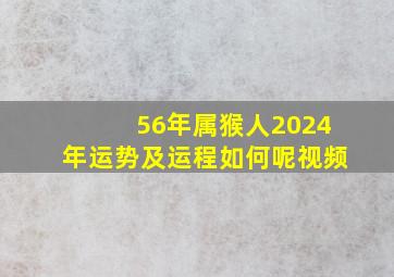 56年属猴人2024年运势及运程如何呢视频