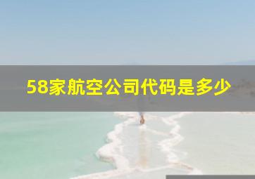 58家航空公司代码是多少