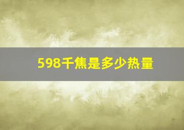 598千焦是多少热量