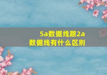 5a数据线跟2a数据线有什么区别