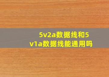 5v2a数据线和5v1a数据线能通用吗