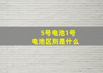 5号电池1号电池区别是什么