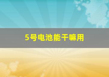 5号电池能干嘛用