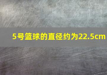 5号篮球的直径约为22.5cm