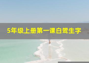 5年级上册第一课白鹭生字