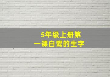 5年级上册第一课白鹭的生字