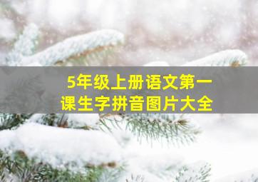 5年级上册语文第一课生字拼音图片大全