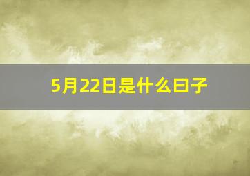 5月22日是什么曰子