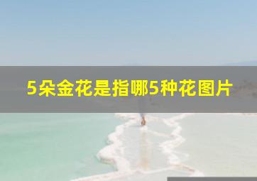 5朵金花是指哪5种花图片