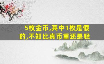 5枚金币,其中1枚是假的,不知比真币重还是轻