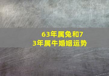 63年属兔和73年属牛婚姻运势