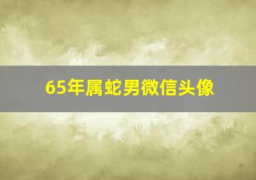 65年属蛇男微信头像