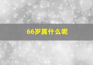 66岁属什么呢