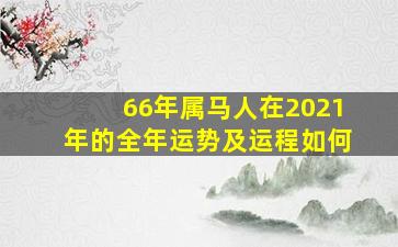 66年属马人在2021年的全年运势及运程如何