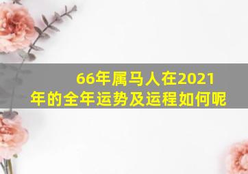 66年属马人在2021年的全年运势及运程如何呢