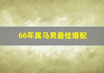 66年属马男最佳婚配