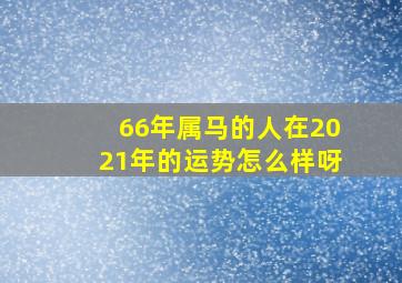 66年属马的人在2021年的运势怎么样呀