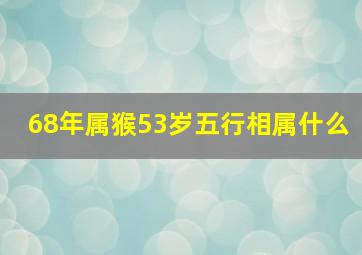 68年属猴53岁五行相属什么