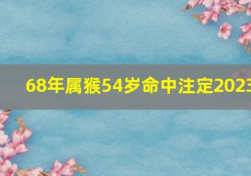 68年属猴54岁命中注定2023