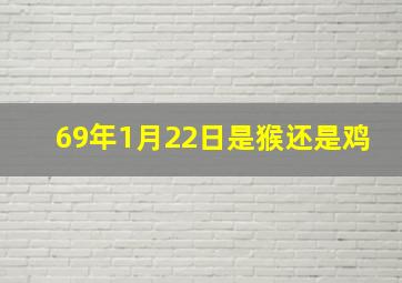 69年1月22日是猴还是鸡