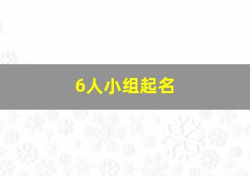 6人小组起名